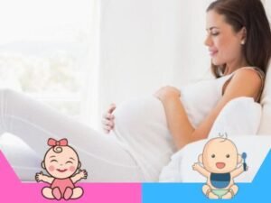 semana a semana embarazo