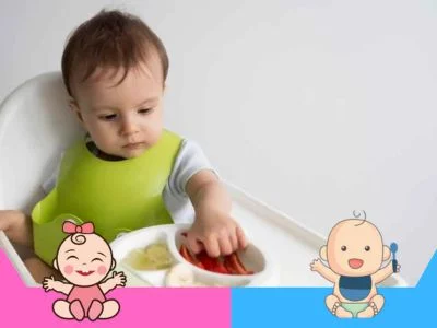 alimentación complementaria