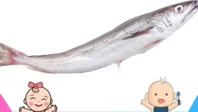 Se puede comer merluza en el embarazo