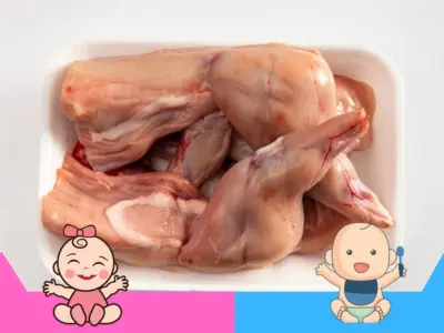 Se puede comer conejo en el embarazo