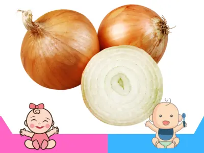 Se puede comer cebolla cruda en el embarazo