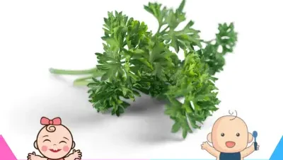 Se puede comer perejil en el embarazo