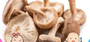 Setas shiitake embarazo