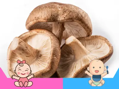 Setas shiitake embarazo